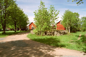Idyllisch ist schon der Weg zum Gelände Idyllisch ist schon der Weg zum Gelände